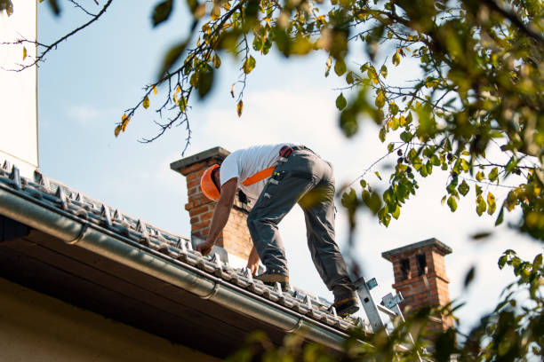 Best Roof Maintenance Services  in Naugatuck, CT